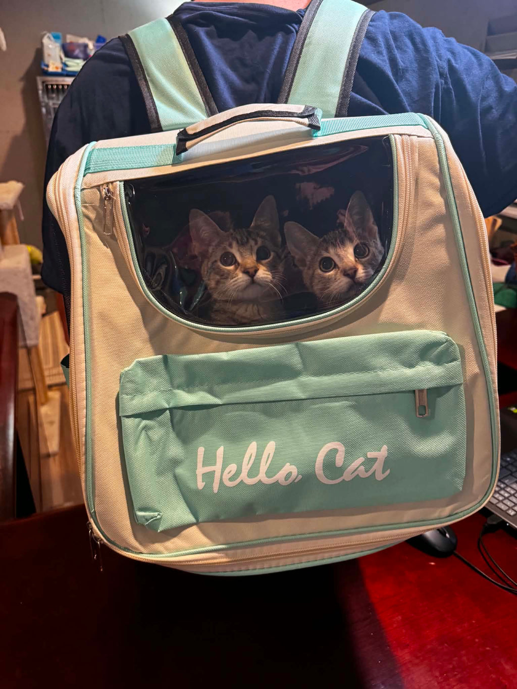COLORFUL TRAVEL PET BACKPACK