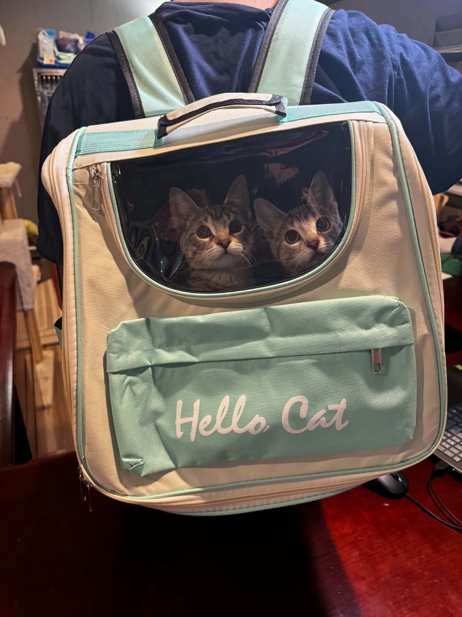 COLORFUL TRAVEL PET BACKPACK